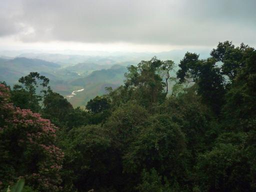 Zahamena National Park